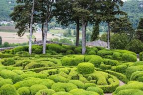 Čarobni francuski vrt sa 150 hiljada sadnica šimšira