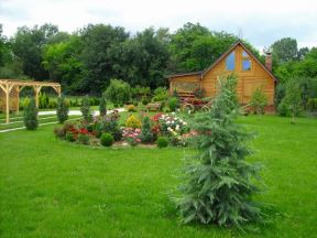 Najlepše bašte Srbije 2013: kućica u cveću u Donjoj Trnavi