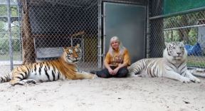 U dvorištu Dženis Hejli (57): bengalski tigrovi su najdraži ljubimci