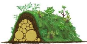Permakultura savetuje uzgajanje voća i povrća bez zalivanja i đubrenja: napravite uzdignute leje