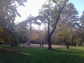 Prvi lavirint-park zasađen u Vrnjačkoj Banji od 440 sadnica čempresa! (FOTO)
