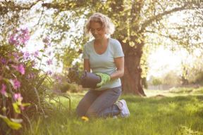 Veliko prolećno spremanje za vašu baštu: pregled baštenskih radova od marta do maja