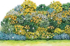Ideja za baštu: bogata leja sa cvećem u žutim nijansama (ŠEMA SADNJE ZA CVETANJE OD APRILA DO SEPTEMBRA)
