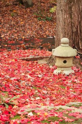 Inspiracija za baštovane: 7 najlepših citata o jeseni