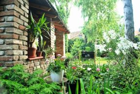 Drugoplasirana bašta konkursa za najlepšu baštu Srbije 2015: vrt sa dahom prošlosti porodice Stanković u Sremskoj Mitrovici