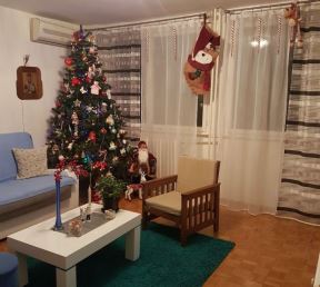3 novogodišnje jelke čuvaju ljubav, želje i uspomene: zavirite u prazničnu dekoraciju u domu Aleksandra i Jelene Niković u Novom Sadu (FOTO)