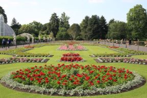 RED I SIMETRIJA ZA ONE KOJI VOLE UREDNO DVORIŠTE: kako da napravite formalan vrt, idealan za vredne baštovane