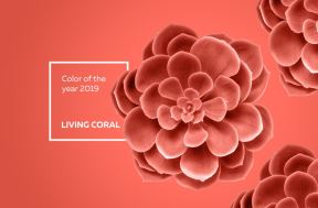 BOJA 2019. GODINE DONOSI VEDRINU I OPTIMIZAM: Living Coral je nijansa koja podseća na koralnu, a inspirisaće sve kreativce