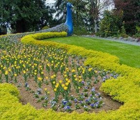 Najlepši vrtovi sveta: Minter, bašta koju krase hiljade lala