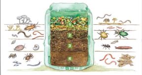 Domaći kompost je nezamenljiv: evo kako da ga napravite