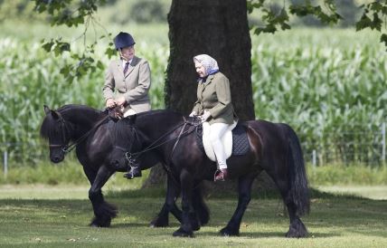 Kralj Čarls prodaje konje pokojne majke
