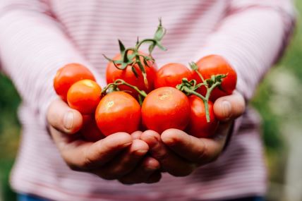 Zašto žene 40+ treba da jedu paradajz
