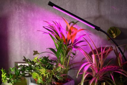 lampa za biljke.jpg