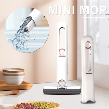 mini mop.png