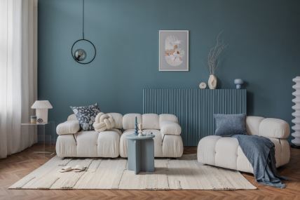 Tepih u dnevnoj sobi