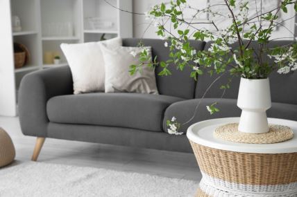 dnevna soba grane.jpg