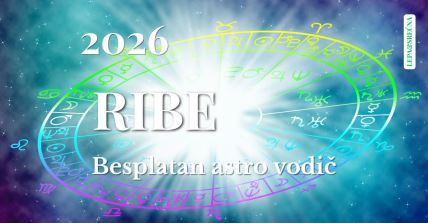 RIBE 2026.jpg