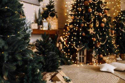 Kako izabrati boju novogodišnje dekoracije