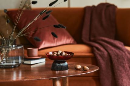 dnevna soba bordo.jpg