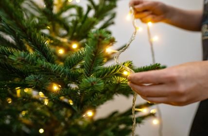 jelka nova godina.jpg