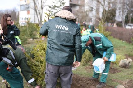 Akcija spasi svoju jelku