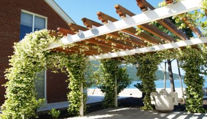 puzavica jasmin 07.jpg