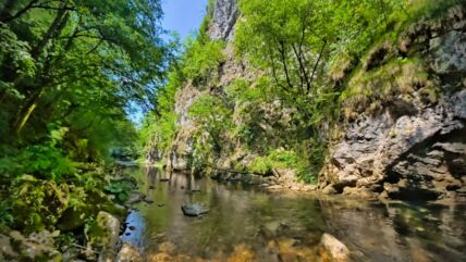 reka_veliki_rzav_2645731407.jpg