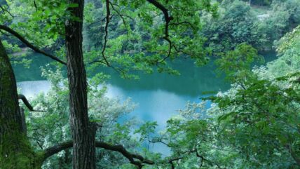 jezero_2697282965.jpg