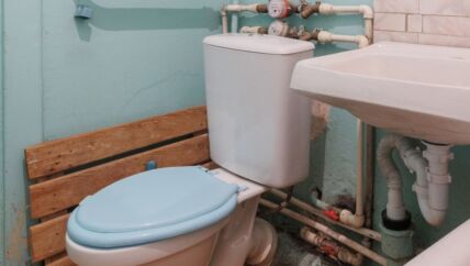 wc cevi.jpg