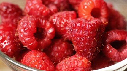 maline_2788549183.jpg
