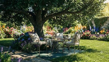 dvorište u hladovini drveta.jpg