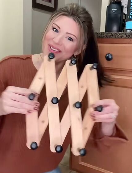 harmonika_vesalica01.jpg