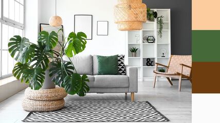 filodendron monstera.jpg