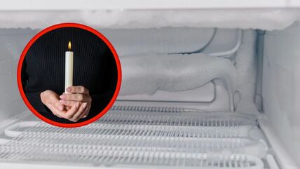 sveca u zamrzivacu.jpg
