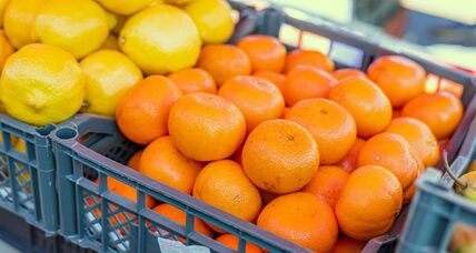 mandarine_2477630199.jpg