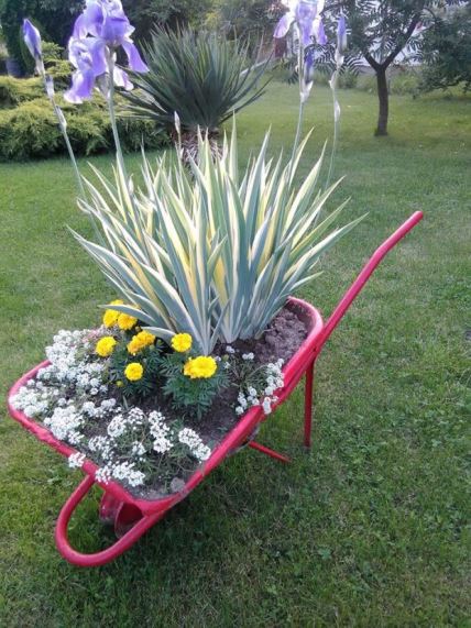 VAŠE BAŠTE: tajanstvena klupa, divno cveće i detalji u dvorištu naše čitateljke Dragane Popadić iz Kraljeva (FOTO)