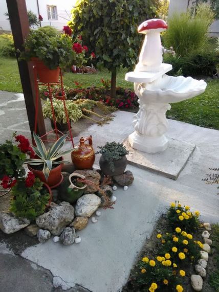 VAŠE BAŠTE: tajanstvena klupa, divno cveće i detalji u dvorištu naše čitateljke Dragane Popadić iz Kraljeva (FOTO)