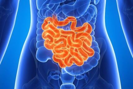 Gastroenterolog otkriva simptome sindroma nervoznih creva