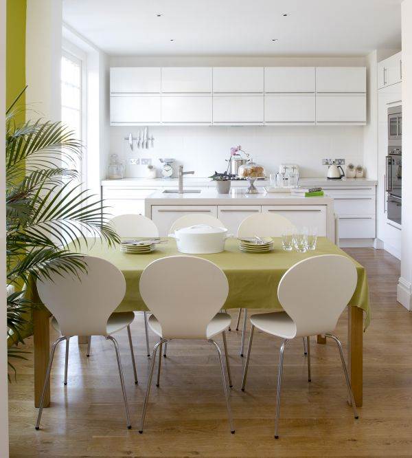 Gde postaviti i kako okrenuti figuru slona u kući