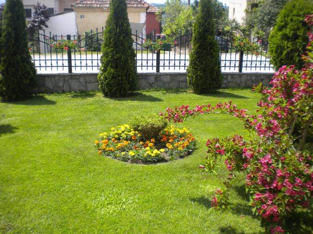 Krvna grupa veći rizik od moždanog udara pre 60 godine