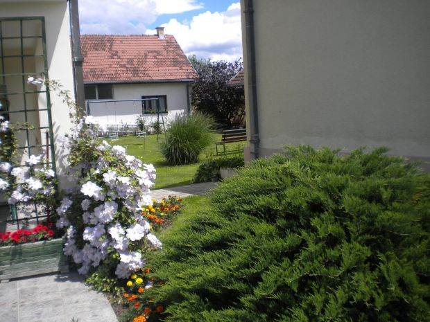 Krvna grupa veći rizik od moždanog udara pre 60 godine