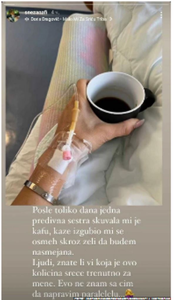 sneza borjan korona