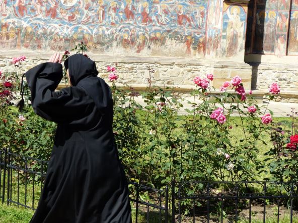 Monahinja brine o cveću