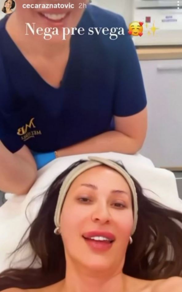 ceca raznatovic 3-min.jpg