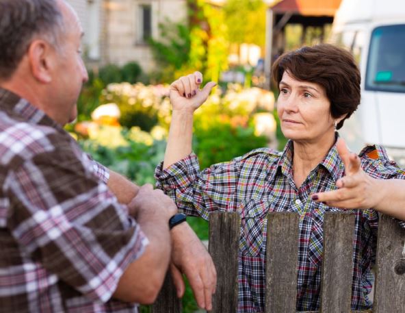 komsinica ograda 32.jpg