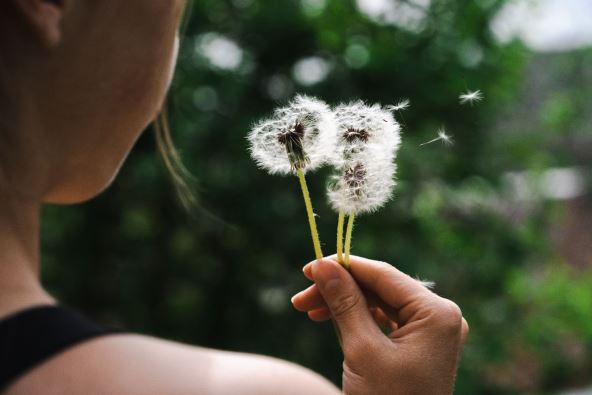 sreca zena zeli zelju 2.jpg