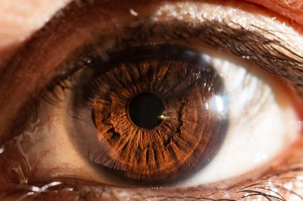 oko oci trepavice.jpg