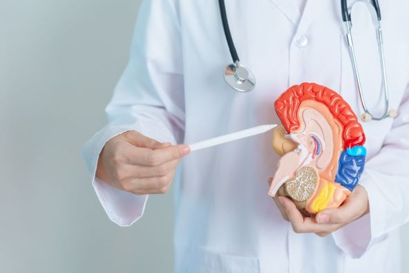 tumor na mozgu 2.jpg