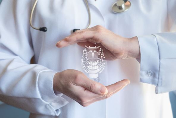 paratiroidne zlezde 2.jpg