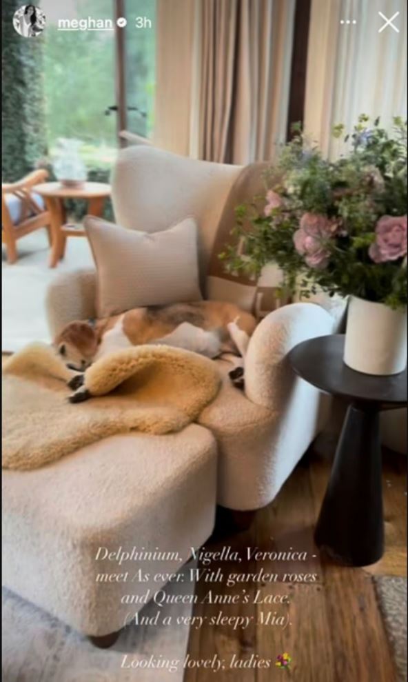 buket dnevna soba megan markl 2.jpg